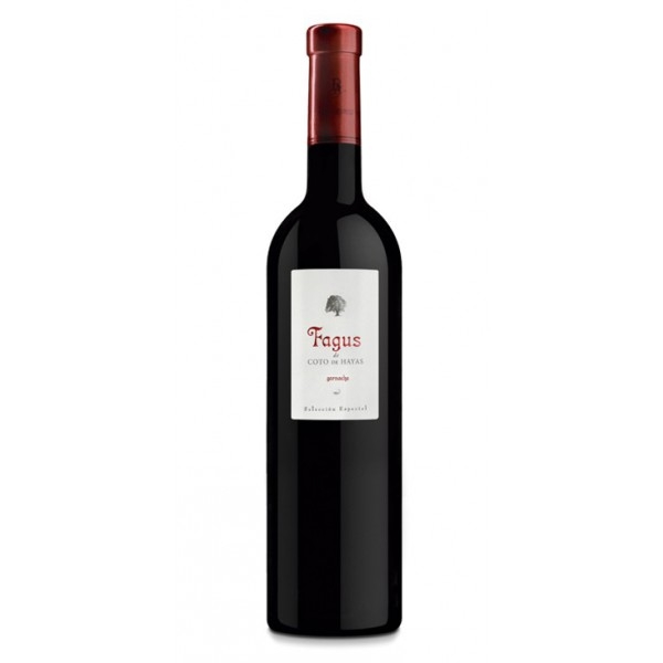 VINO FAGUS DE COTO DE HAYAS