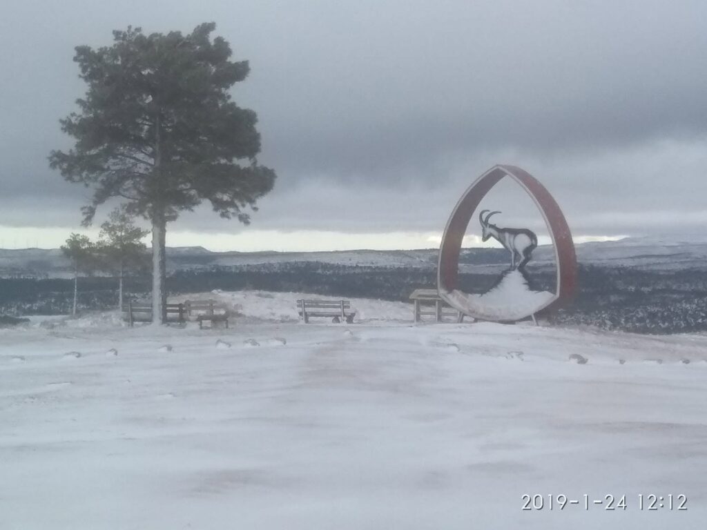 Villarluego nevado Jamones el rullo4